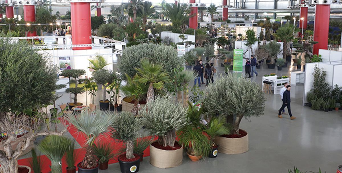 Viveralia 2019 convertirá a IFA en un paraíso de naturaleza