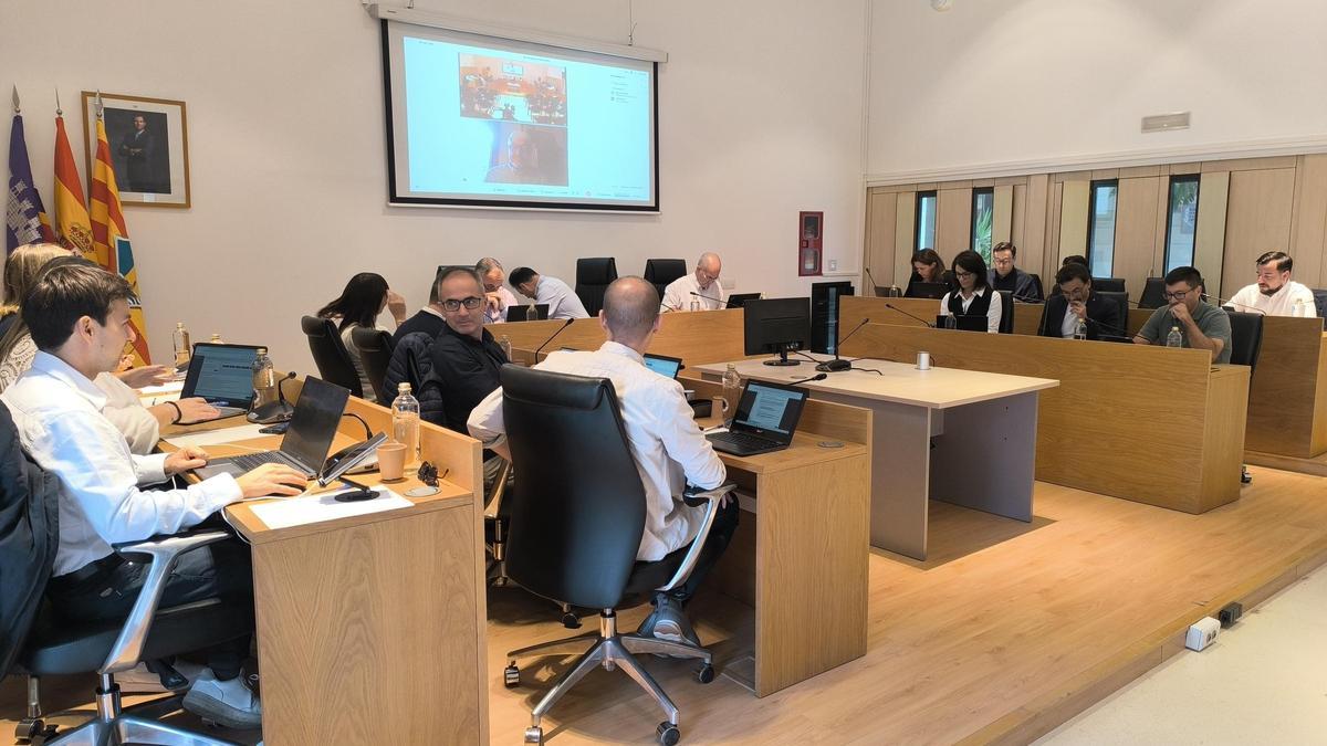 El pleno del Consell de Formentera en sesión extraordinaria y urgente