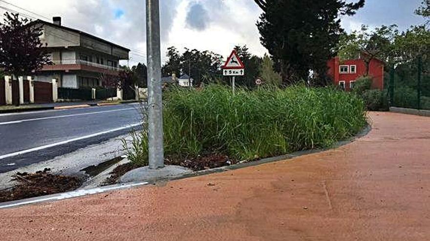 Hierba sin cortar junto al carril bici entre Montrove y O Carballo.