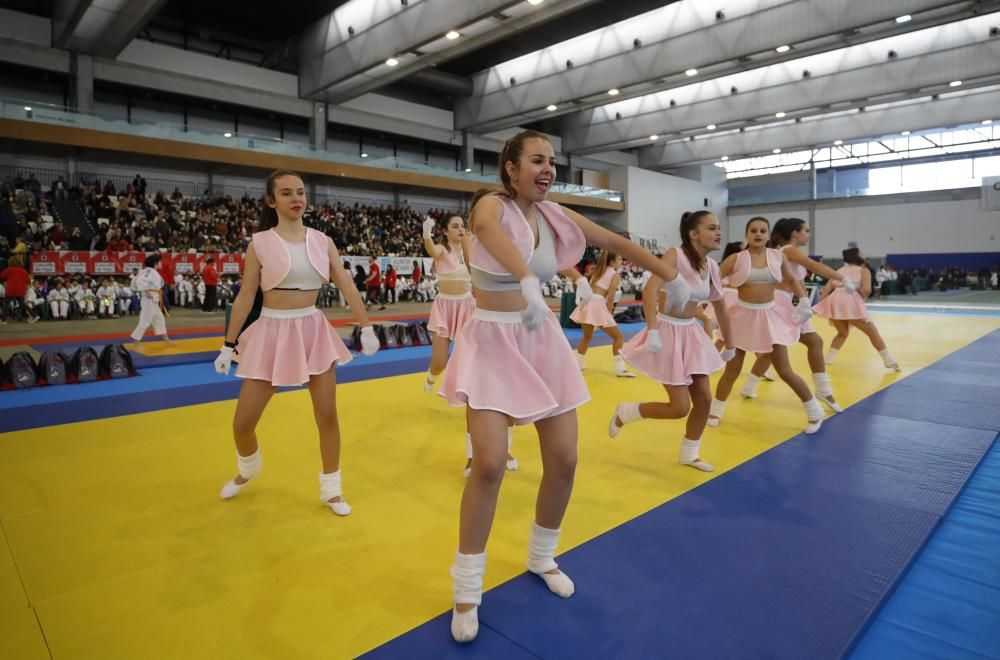 26ª edición de la Fiesta del Judo Infantil