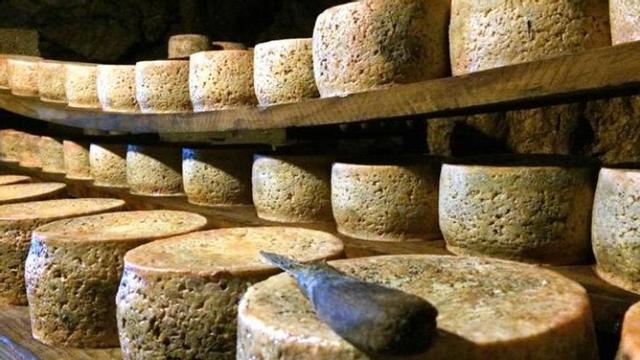 Piezas de queso de Cabrales en una cueva de maduración.