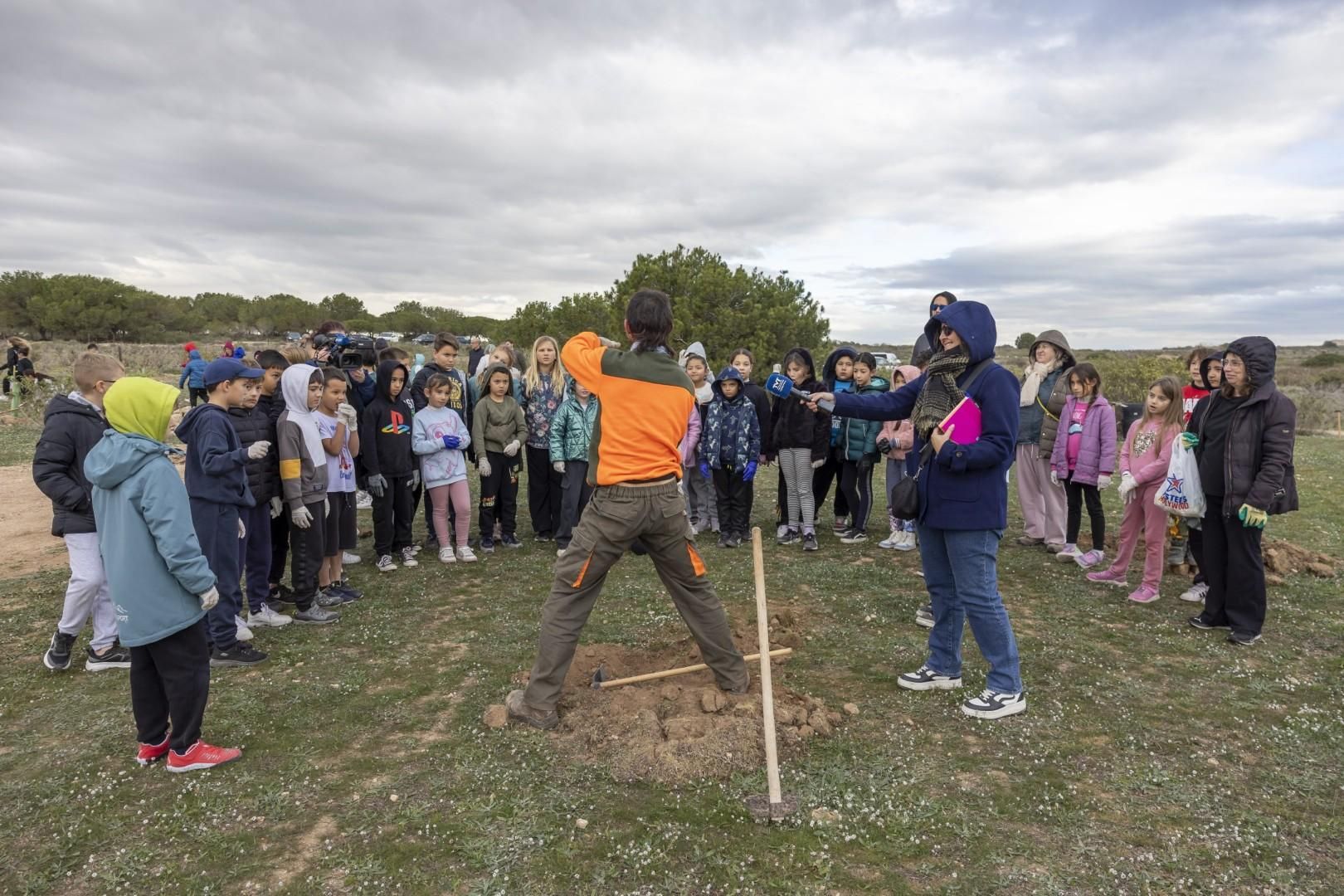 Jornada escolar plantación de especies autóctonas junto al parque natural de las lagunas de Torrevieja y La Mata