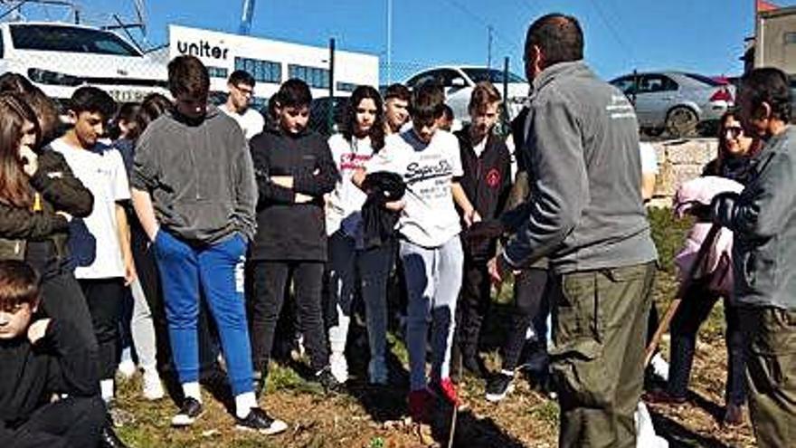 Niños de Carral y Culleredo plantan autóctonas por el Día del Árbol