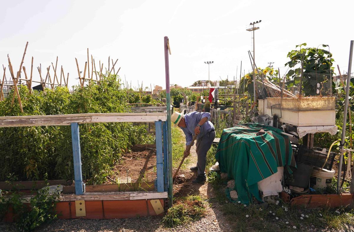 Décimo aniversario del huerto urbano más grande de la capital malagueña.