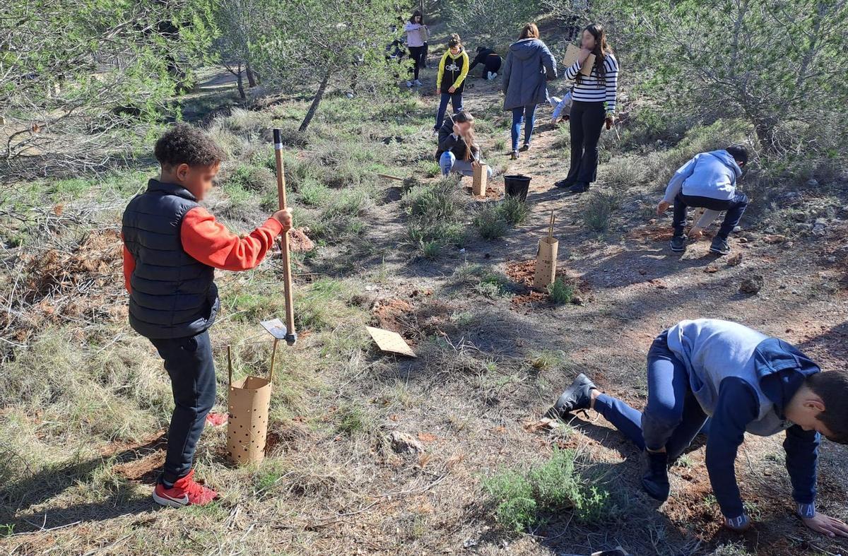 Los bosques urbanos contribuyen a mejorar el aire, la biodiversidad, la regulación de la temperatura y el bienestar de las personas. El aumento de zonas verdes cercanas a núcleos urbanos con reforestaciones también ayuda a combatir el cambio climático, como ésta realizada por Silvoturismo en Sax.