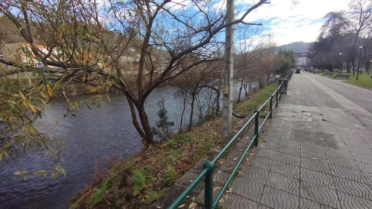 El río Nalón, a su paso por Sama.