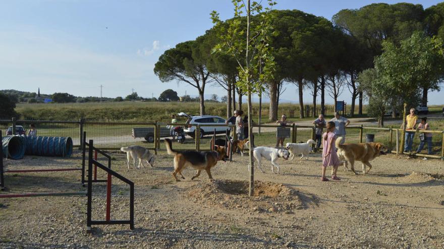 Forma part d&#039;una campanya integral de l&#039;Ajuntament que vetlla pel bé de gossos i propietaris