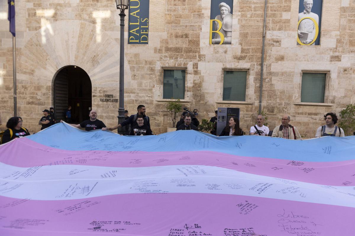 Protesta de Lambda por los cambios del PP y Vox quieren introducir en la ley Trans, en mayo de 2025 ante las Corts.