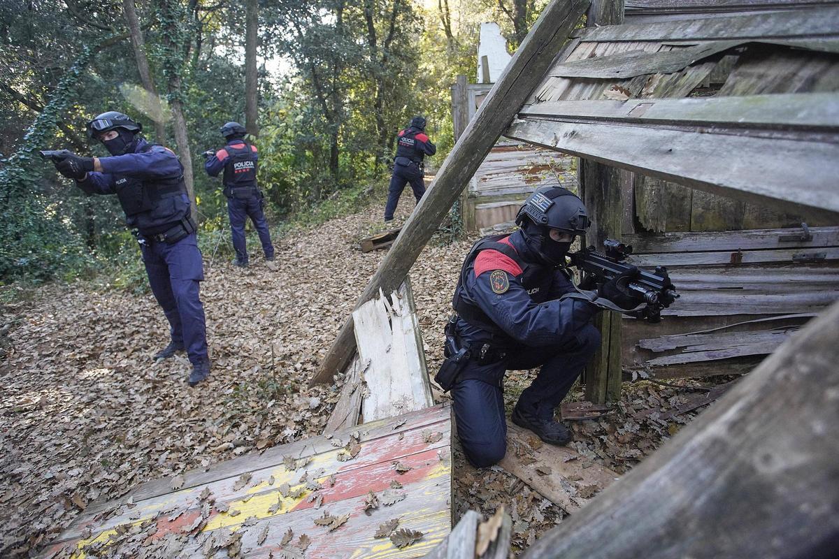 Així treballa i entrena l'ARRO dels Mossos de la regió policial de Girona