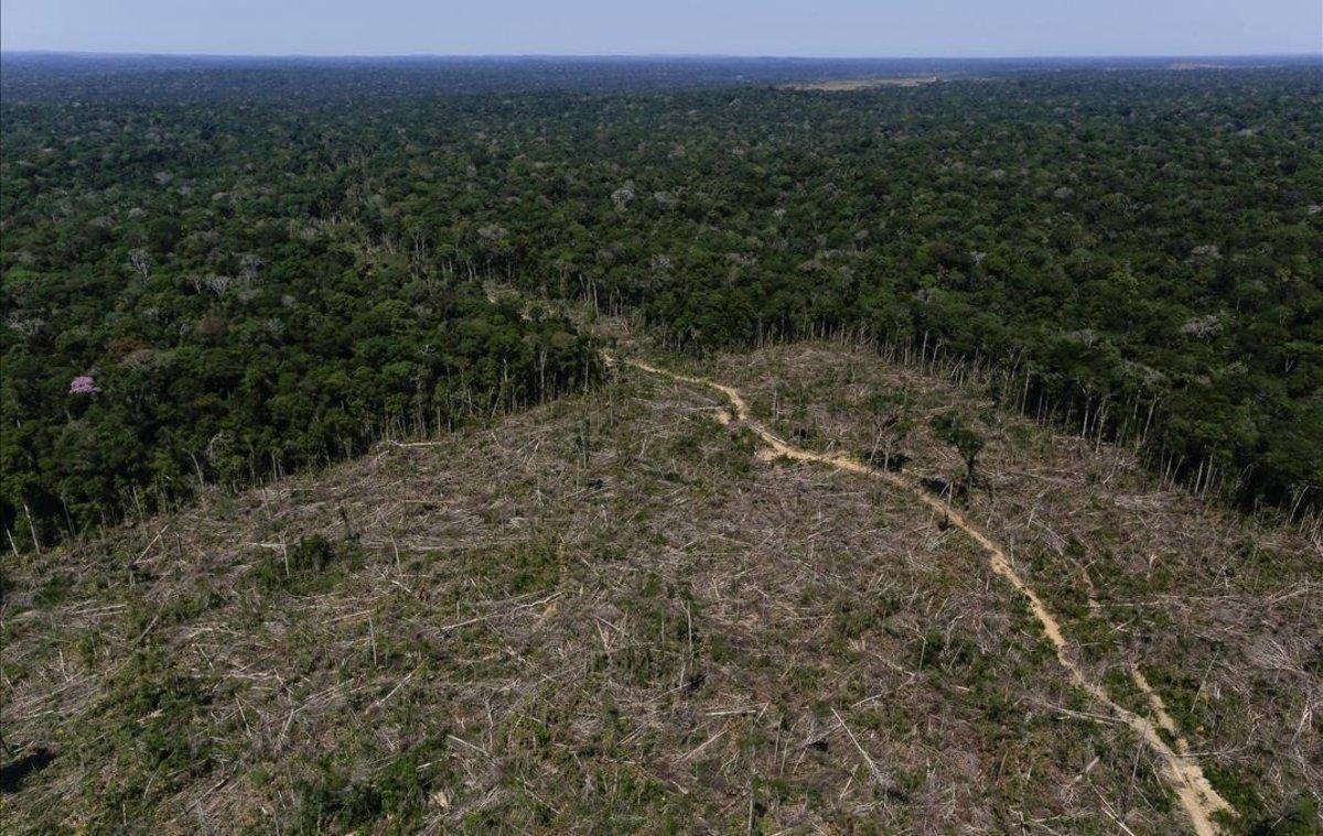 Zona deforestada de la Amazonia en Brasil. Zona deforestada de la Amazonia en Brasil.