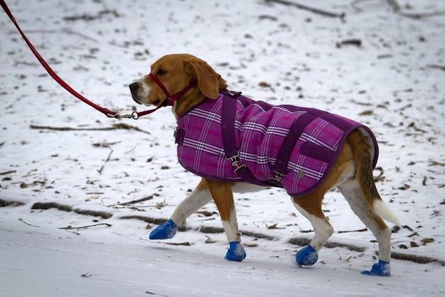 Fotogalería: La tormenta Juno en Nueva York