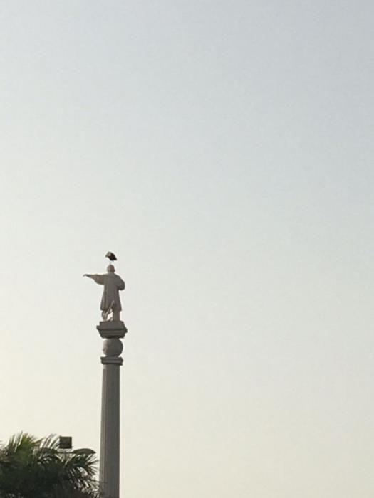 Una cigüeña 'veranea' en la estatua de Colón en Maspalomas