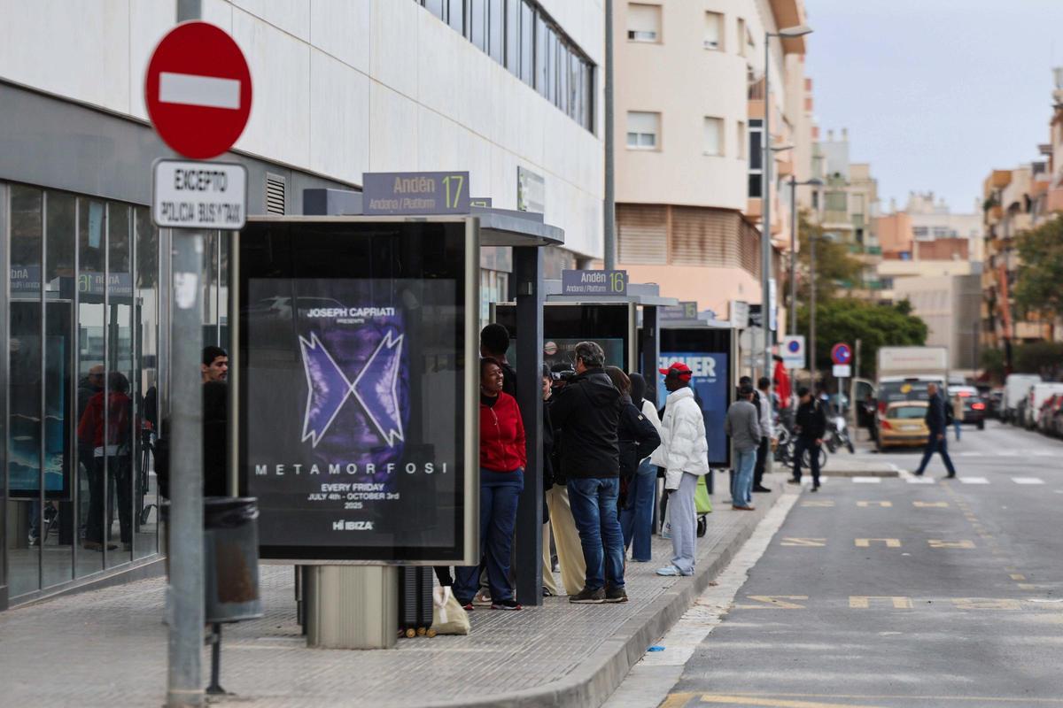 Imágenes del inicio de la nueva contrata de autobuses de Ibiza