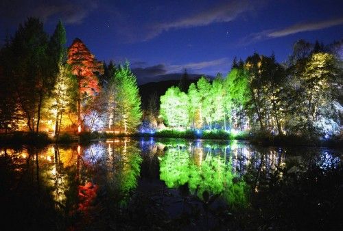 Árboles iluminados por luces de colores que se reflejan en el lago Dunmore en Faskally Wood, en Pitlochry, Escocia
