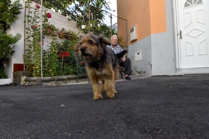 PANCHO UN PERRO MUY PARTICULAR