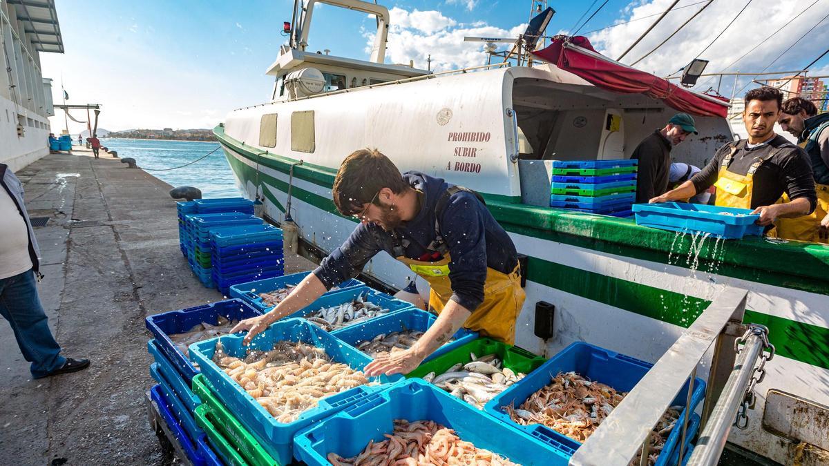 Sueldo variable. Los barcos pesqueros arriban a los puertos de la provincia habitualmente al amanecer o bien a primera hora de la tarde. El sueldo de los trabajadores varía en función del precio de venta de las capturas.