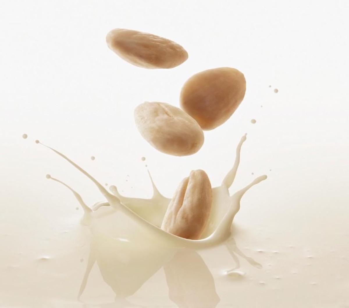 Alimentos para el 2016. Leche vegetal.