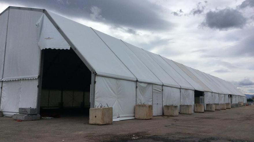 Sujetan con bloques de piedra la carpa fallera de Dénia para evitar que se la lleve el viento