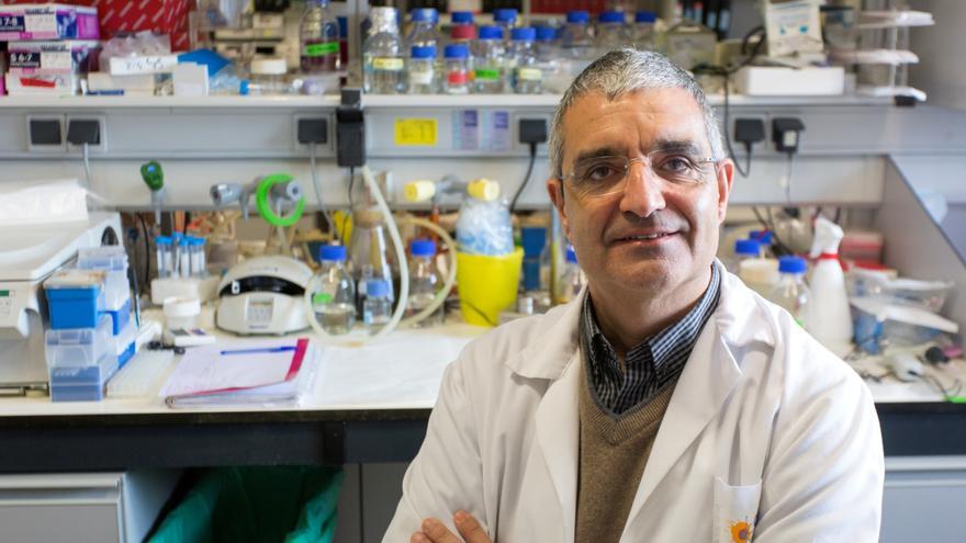 Investigadores españoles descubren un nuevo gen inductor de cáncer