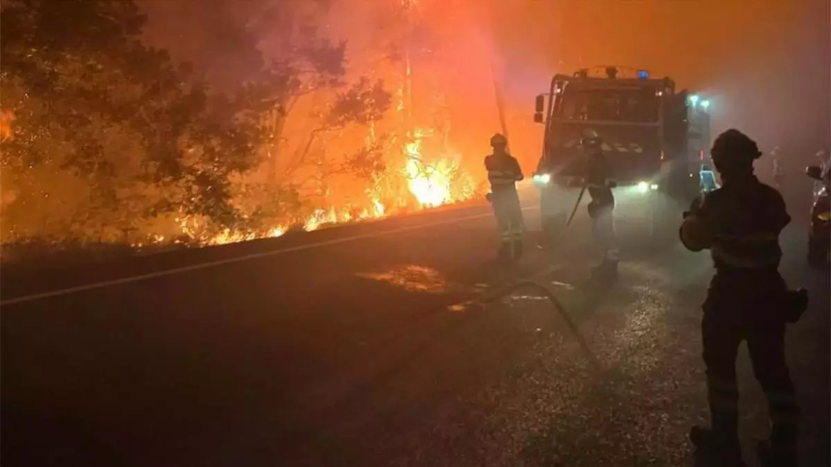 Trabajos de la UME y de los Bomberos en Aragón