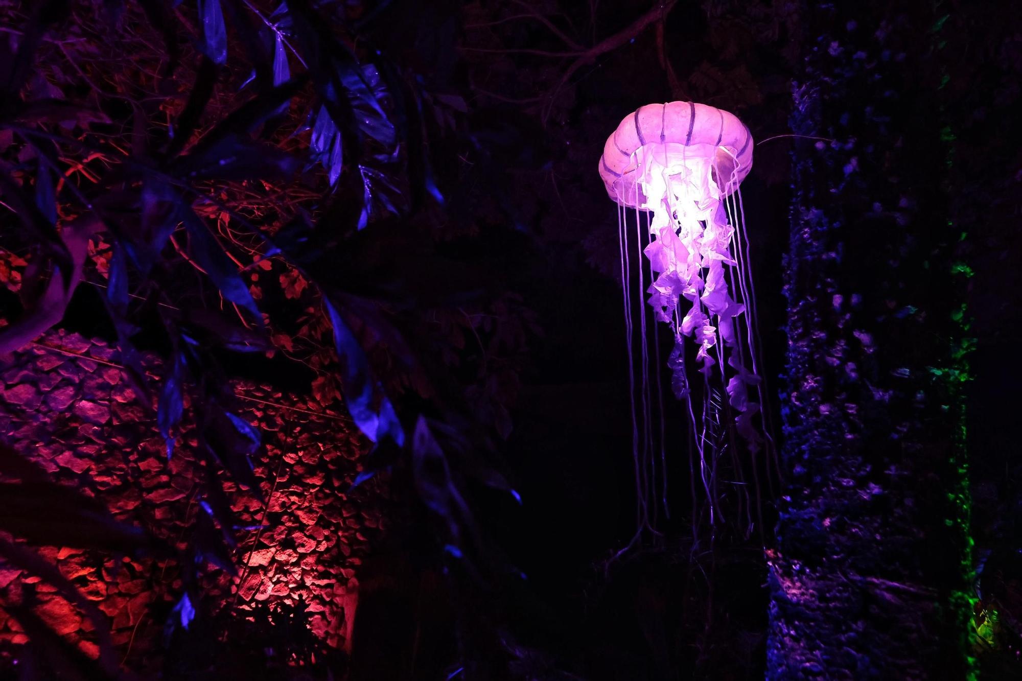 Montaje de Naturaleza Encendida en el Palmetum