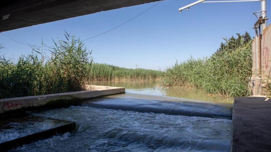 Las pedanías del Campo de Murcia se implican en proteger el Mar Menor