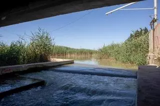 Las pedanías del Campo de Murcia se implican en proteger el Mar Menor