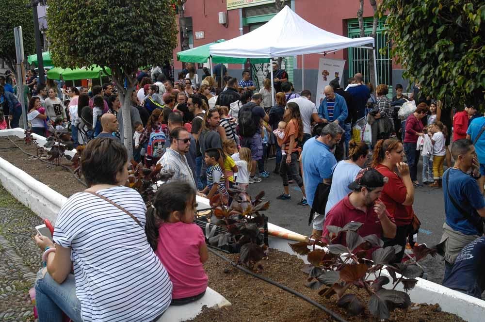 Fiesta de la Cerveza en la plaza de Doña Rafaela