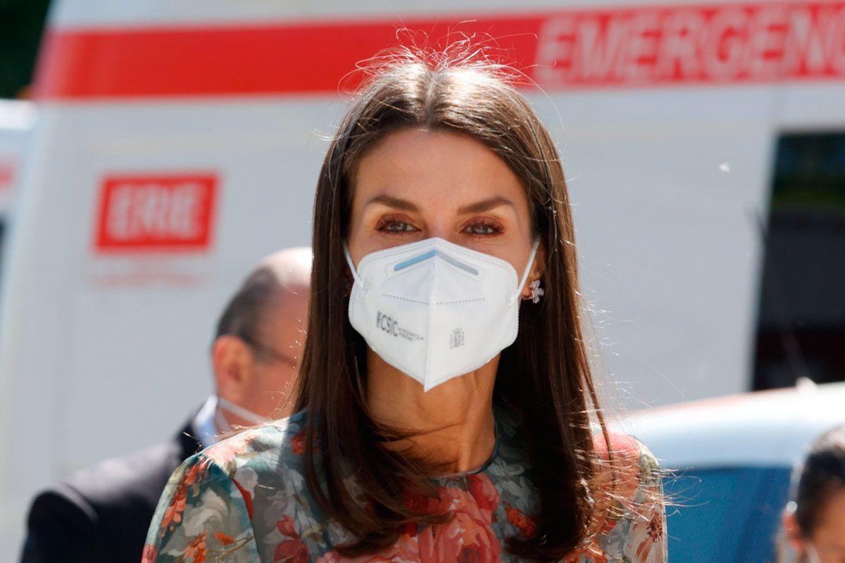 El maquillaje de ojos de la reina Letizia El look de la reina Letizia, en el acto conmemorativo del Día Mundial de la Cruz Roja y de la Media Luna Roja 2021