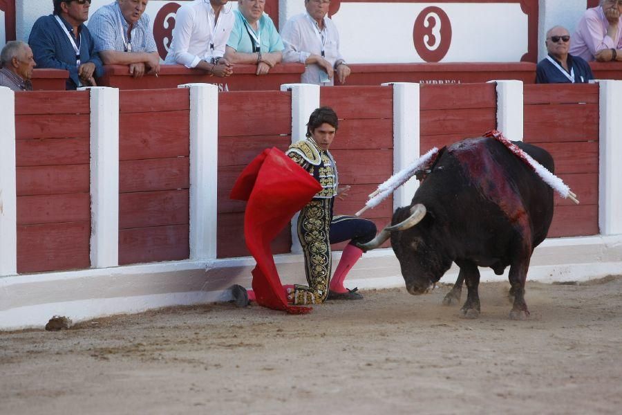 Toros en Zamora