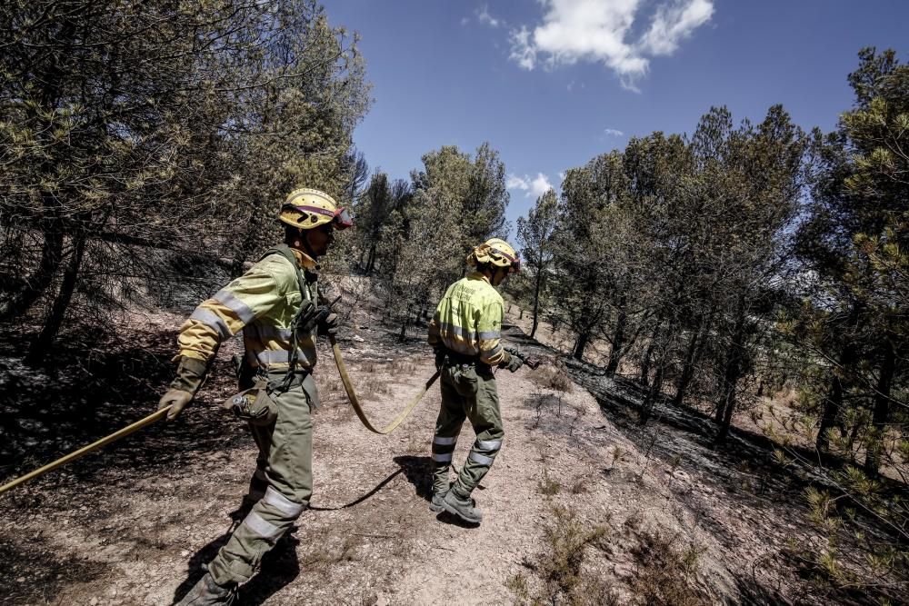 Incendio en La Torre de les Maçanes