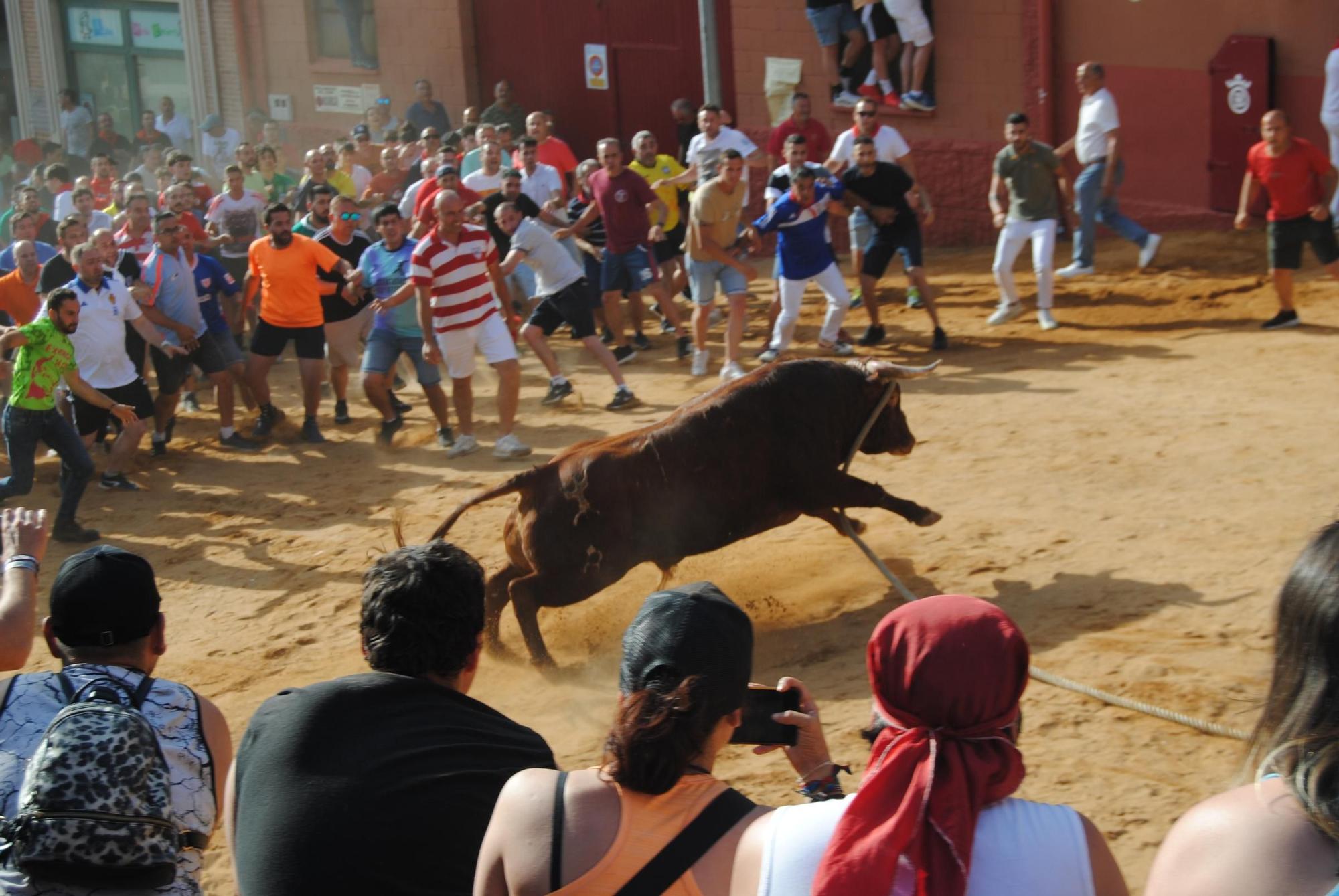 Así ha sido la carrera del torito Espléndido en Benavente