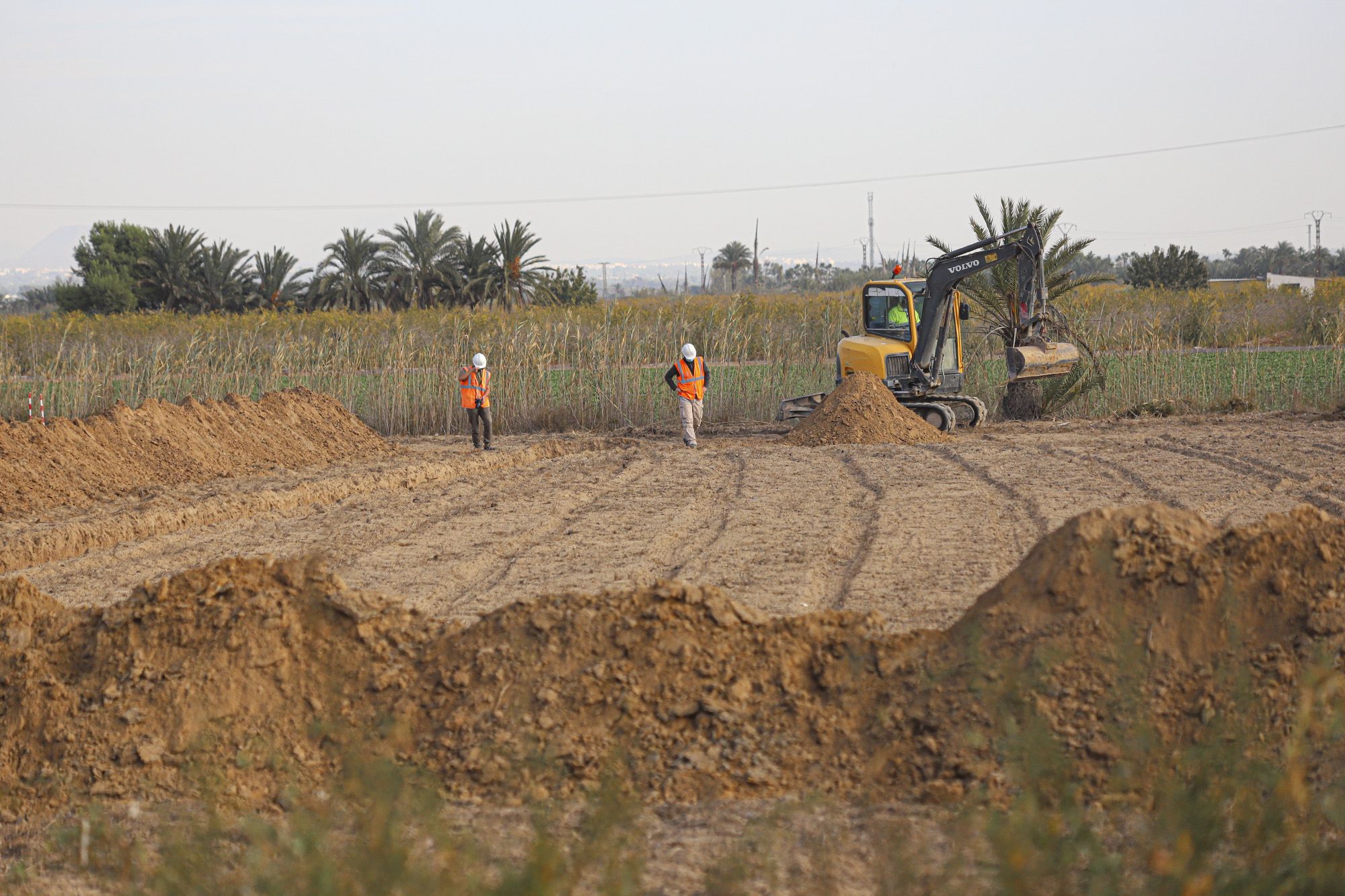 Excavaciones en el campo de concentración de Albatera para localizar una fosa común