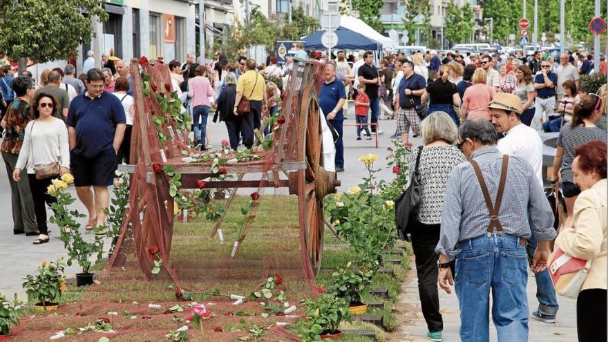 La Fira proposa un itinerari floral pel centre de Roses