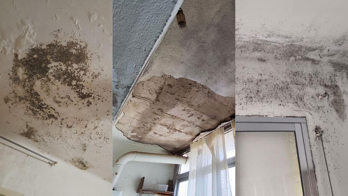 Humedades y daños en viviendas de la plaza Encina del Rey tras el último tren de borrascas.