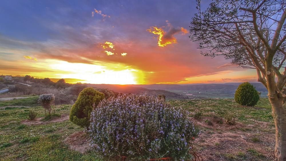 Posta de sol a Cardona.