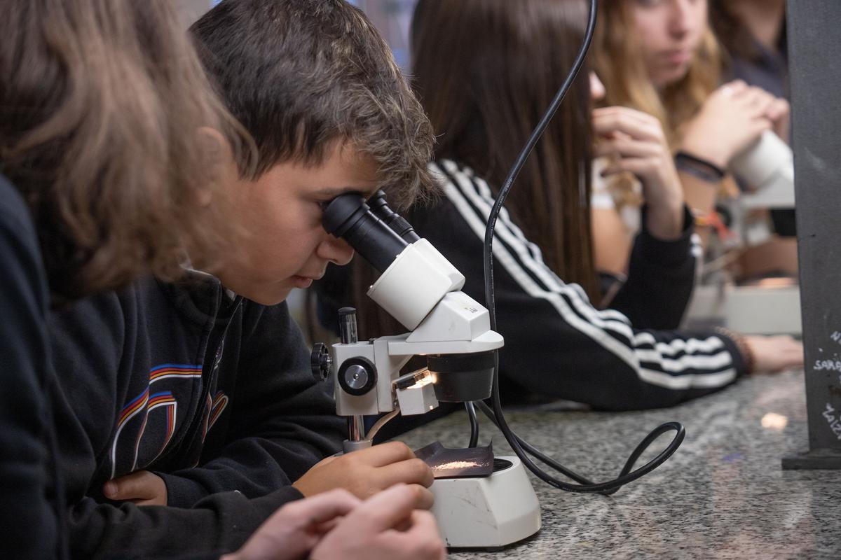 Un instituto «eco friendly» en Elche