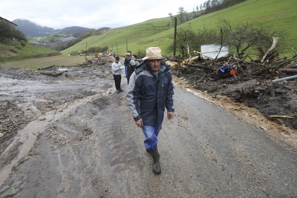 Temporal en Asturias: Un argayo sepulta una ganadería en Salas