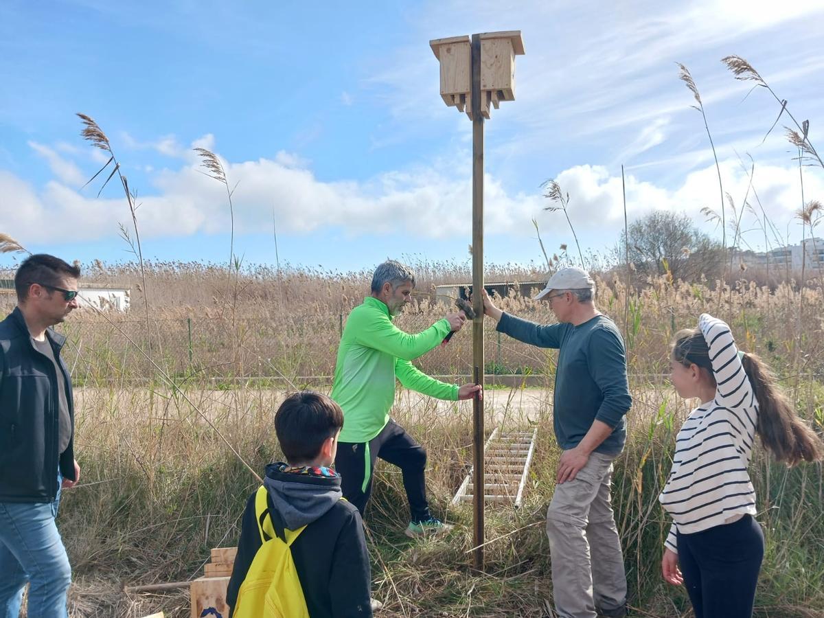 Imagen de un taller de instalación de nidos de murciélagos en ses Feixes.