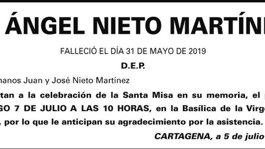 D. Ángel Nieto Martínez
