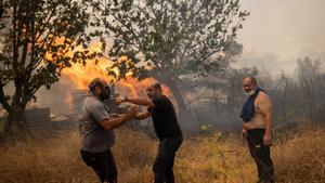 Europa pateix un altre any de sequeres i incendis forestals