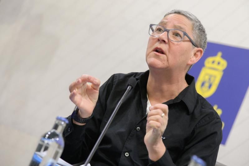 Jack Halberstam, profesor de la Universidad del Sur de California, profesor visitante en la Universidad de Columbia y una de las voces más reconocidas internacionalmente en teoría queer y estudios de género ofrece en el Cabildo de Gran Canaria la charla ?Trans*, más allá de los derechos y el reconocimiento?.  | 17/01/2019 | Fotógrafo: Tony Hernández