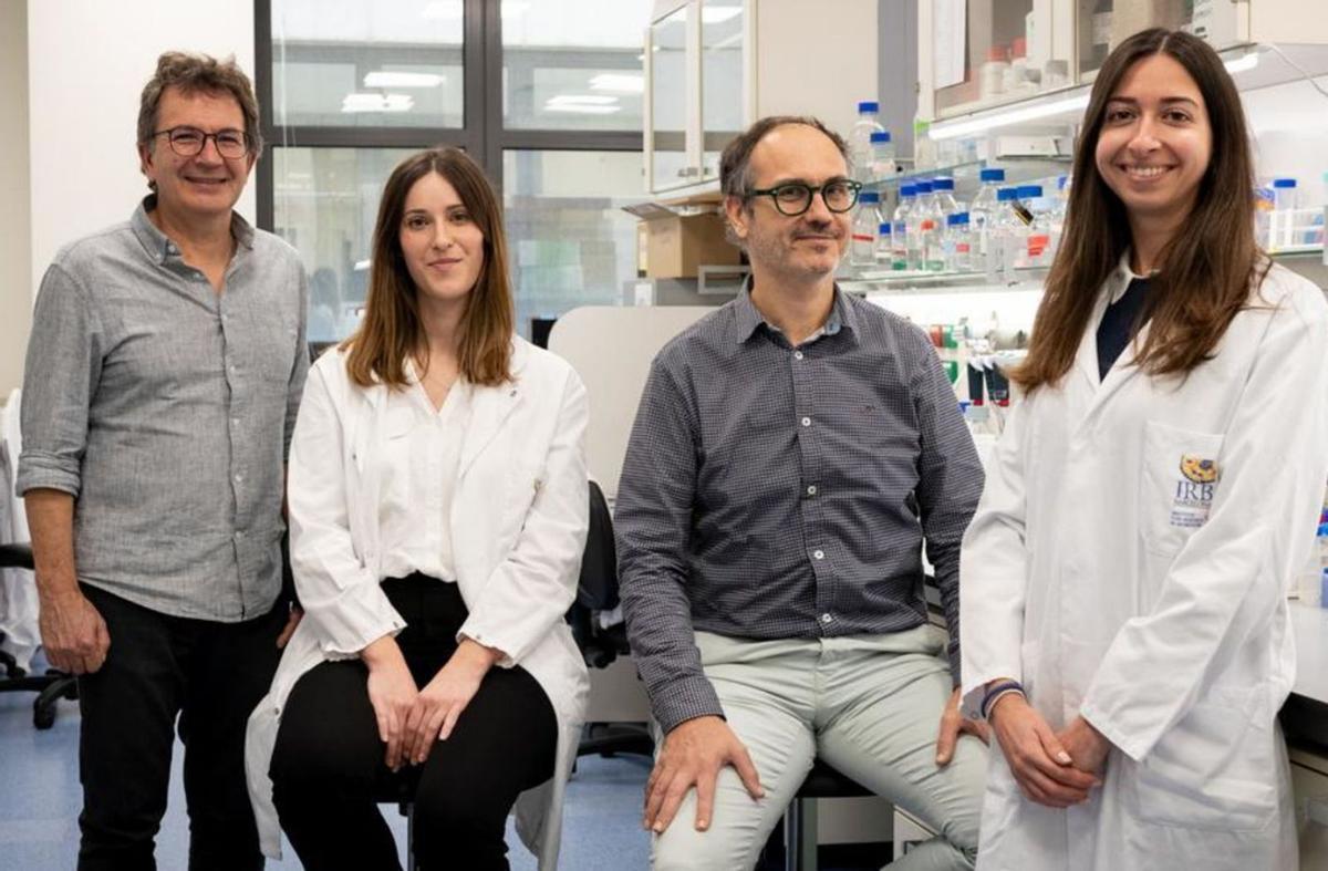 Una alteració neuronal podria explicar per què sorgeix l’autisme Una alteració neuronal podria explicar per què sorgeix l’autisme