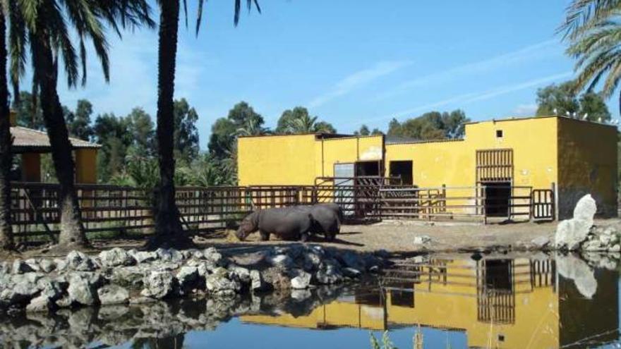 Imagen de Safari Park antes de su cierre, hace un año.