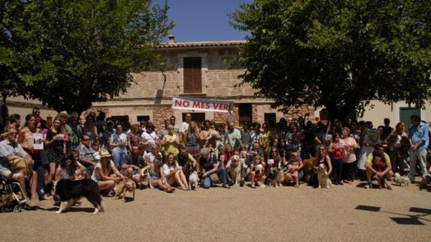 Rund hundert Tierliebhaber protestierten in Santa Maria.