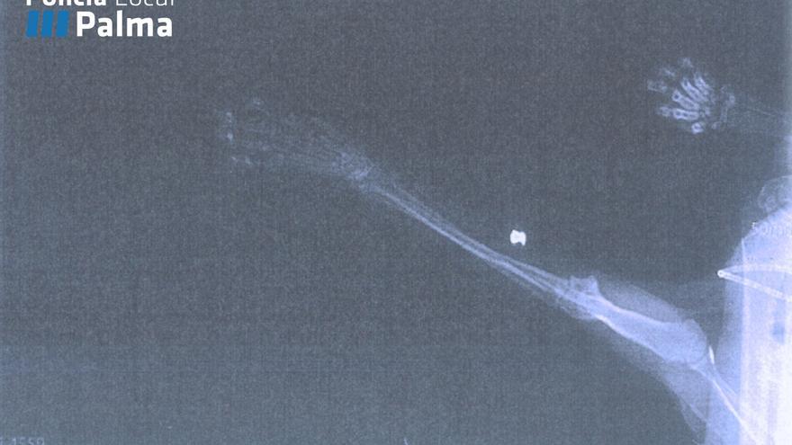 Investigado en Palma por disparar a un gato con una escopeta perdigones y dejarlo malherido