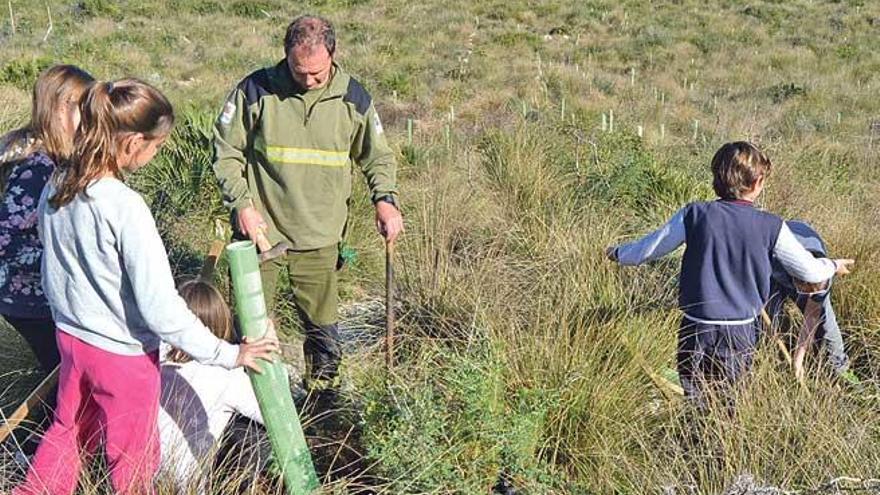 Los alumnos durante las tareas de reforestación.