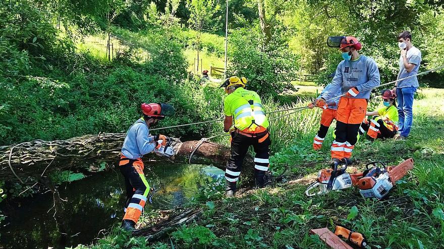 ‘Lalín Foresta’ realiza desbroces manuales en el Paseo do Pontiñas