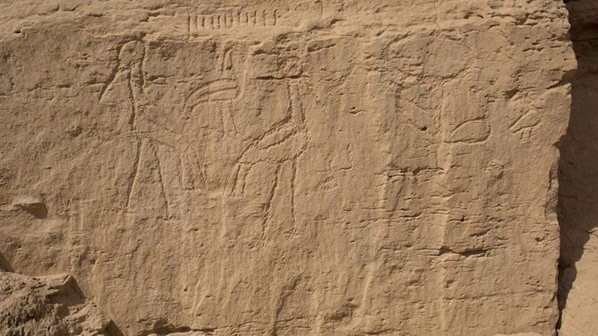 los jeroglíficos hallados en Elkab.