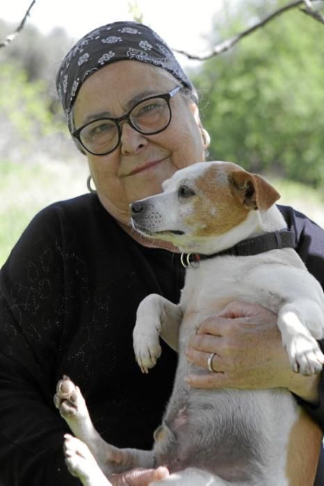 Seit über 30 Jahren betreibt Josefi na Vivancos in Pollença ein Hundeasyl. Zum Tierschutz kam die Mallorquinerin eher zufällig. Heute lebt sie mit 40 Hunden auf einer Finca und hat Hunderten von Vier